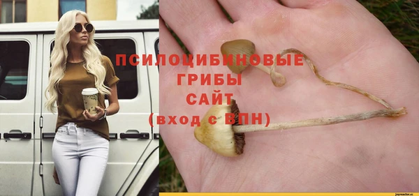 гидропоника Алексеевка